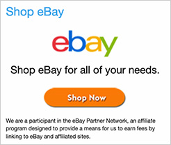 Shop eBay widget.jpg