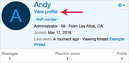 View profile link in member tooltip menu.jpg